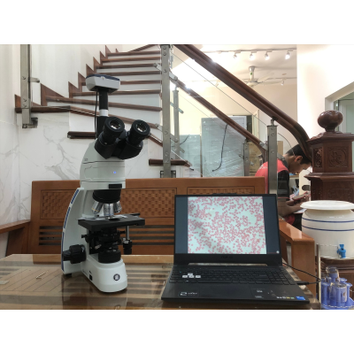 Kinh hien vi huynh quang kim tuong Euromex OX.3237 (hình 1).jpg